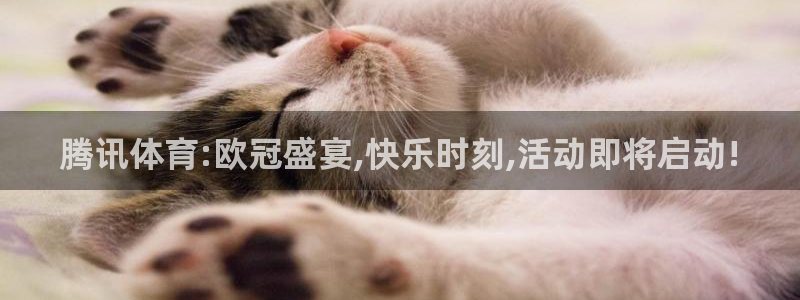五星体育在哪看直播