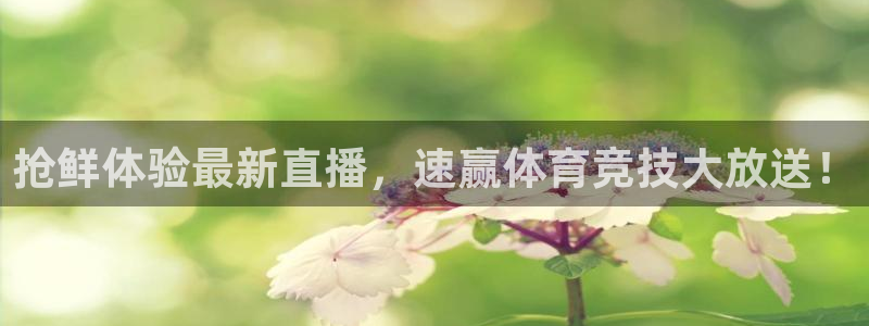 上海体育频道五星体育台节目表：抢鲜体验最新直播，速赢体育竞技大放送！