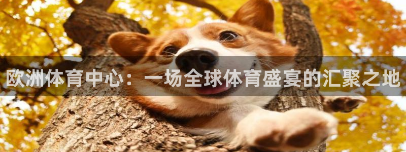 上海五星体育直播在线观看 官方网站：欧洲体育中心：一场全球体育盛宴的汇聚之地