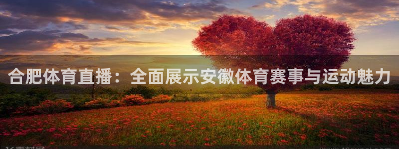五星体育直播吧：合肥体育直播：全面展示安徽体育赛事与运动魅力