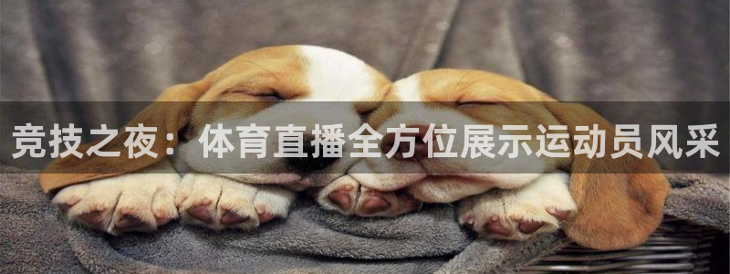 五星体育张瑶：竞技之夜：体育直播全方位展示运动员风采