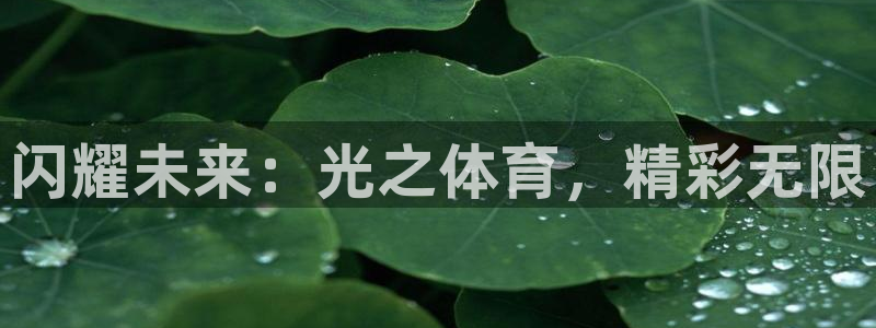 五星体育电视频道：闪耀未来：光之体育，精彩无限