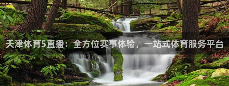 上海五星体育在线观看：天津体育5直播：全方位赛事体验，一站式体育服务平台